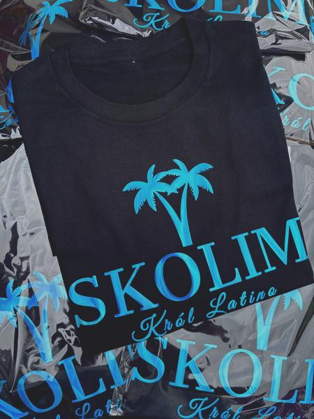 Koncert Skolima