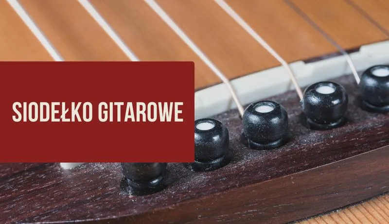Wybór siodełka do gitary elektrycznej